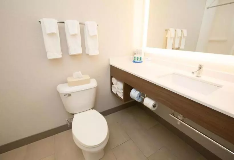 スタンダードルーム, Holiday Inn Express Hotel & Suites Madison, An Ihg