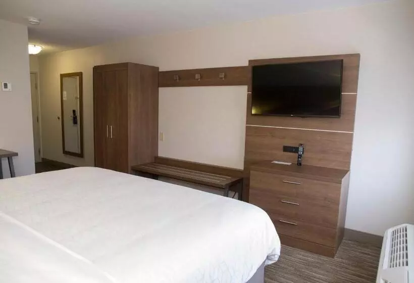 キングサイズベッドのスタンダードルーム, Holiday Inn Express Hotel & Suites Madison, An Ihg