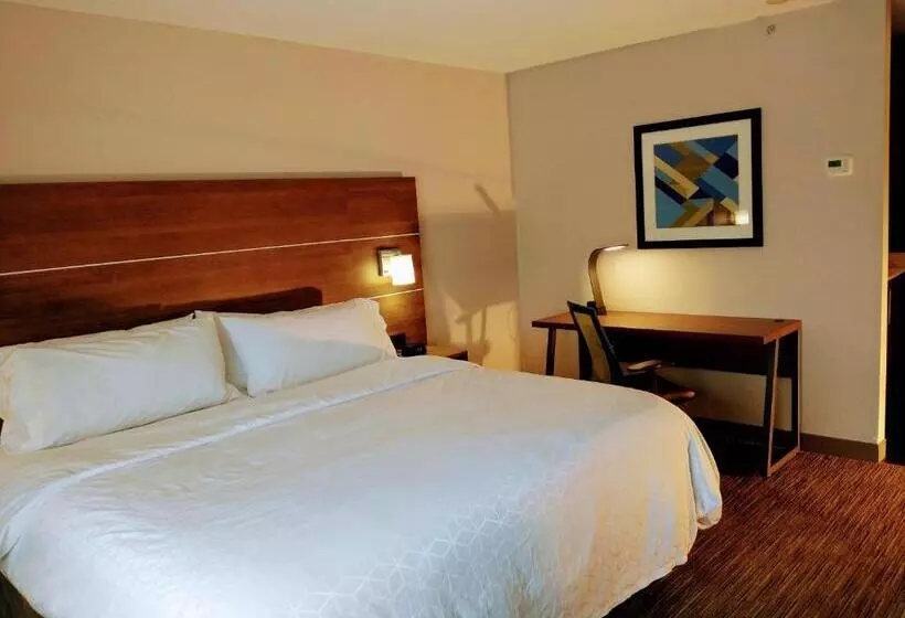 キングサイズベッドのスタンダードルーム, Holiday Inn Express Hotel & Suites Madison, An Ihg