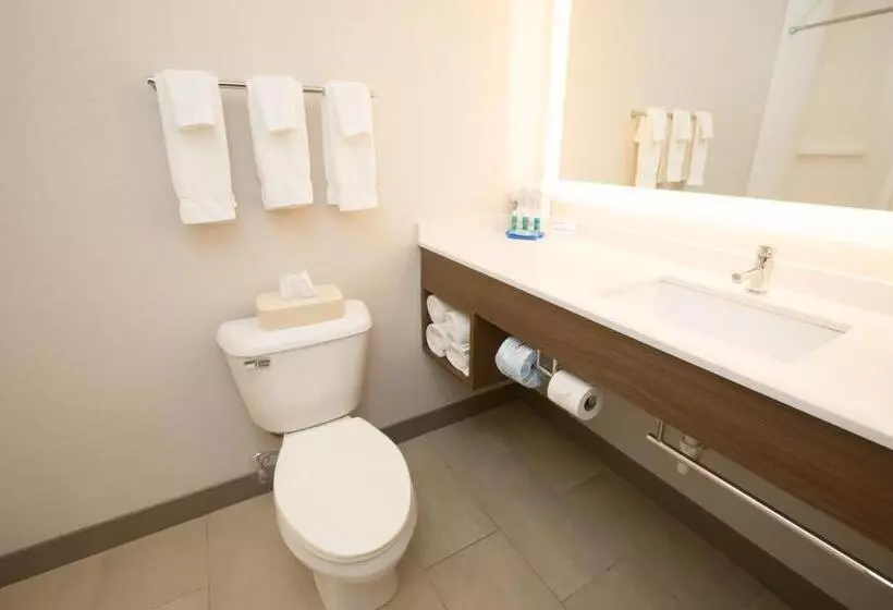 キングサイズベッドのスイートルーム, Holiday Inn Express Hotel & Suites Madison, An Ihg