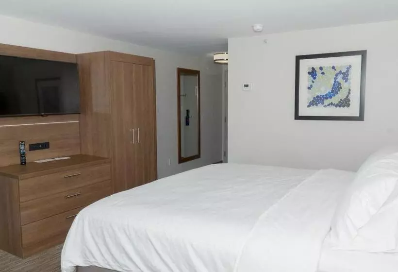 キングサイズベッドのスイートルーム, Holiday Inn Express Hotel & Suites Madison, An Ihg