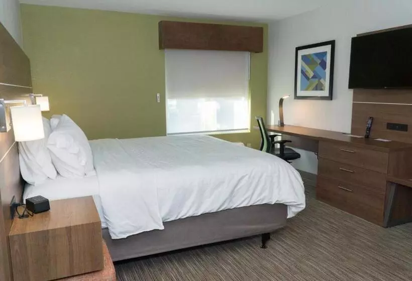 身障者適用キングサイズベッドルーム, Holiday Inn Express Hotel & Suites Madison, An Ihg