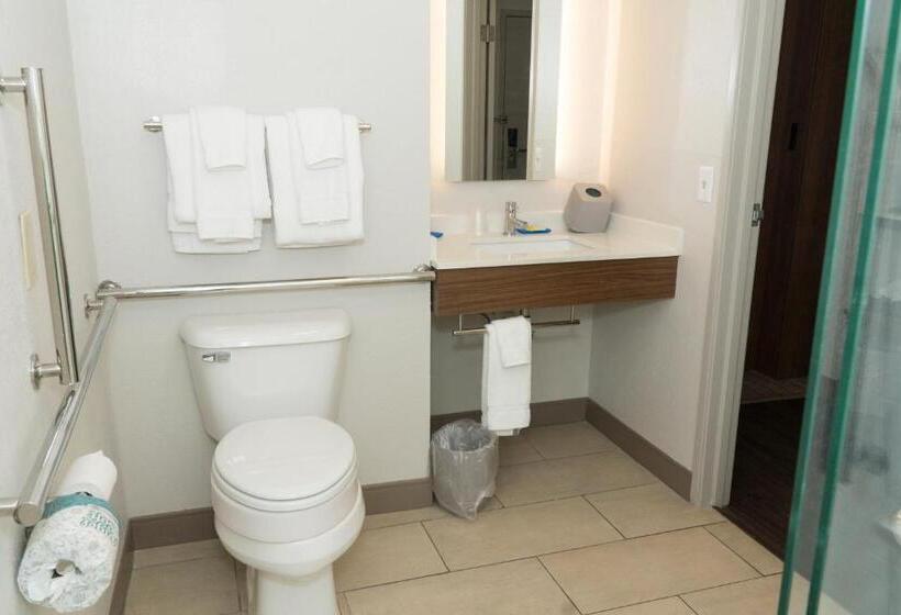 장애인을 위한 킹사이즈 침대 스탠다드 룸, Holiday Inn Express Hotel & Suites Madison, An Ihg