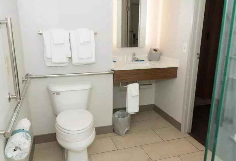 身障者適用キングサイズベッドルーム, Holiday Inn Express Hotel & Suites Madison, An Ihg