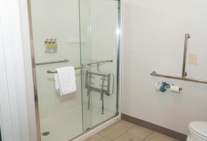 חדר סטנדרט, מיטת קינג, מותאם לאדם עם מוגבלויות, Holiday Inn Express Hotel & Suites Madison, An Ihg