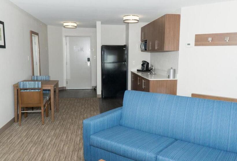 סוויטה נשיאותית, Holiday Inn Express Hotel & Suites Madison, An Ihg