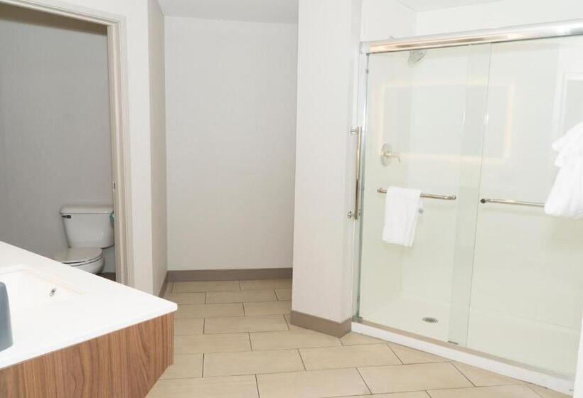 סוויטה נשיאותית, Holiday Inn Express Hotel & Suites Madison, An Ihg