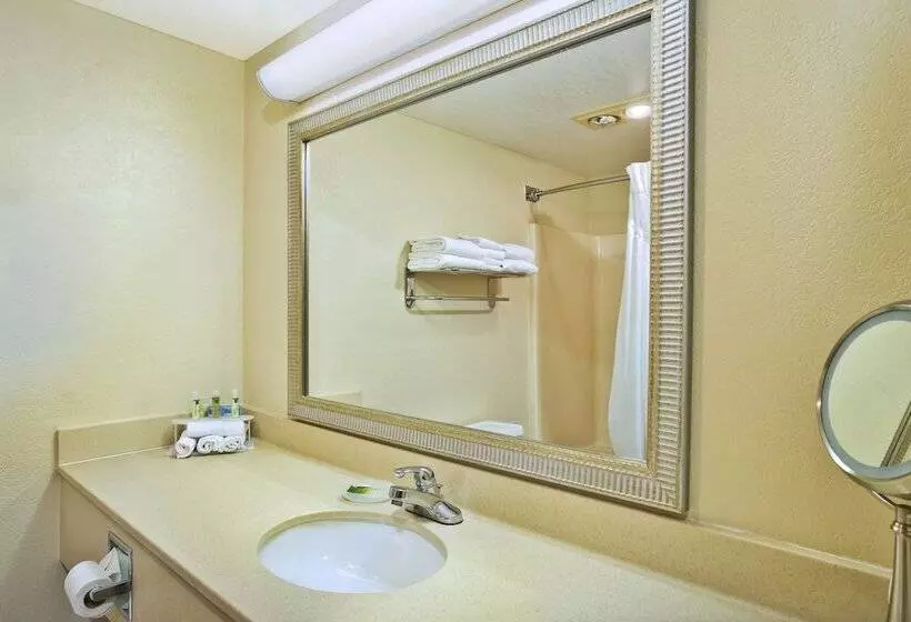 ダブルベッドスタンダードルーム, Holiday Inn Express Mackinaw City, An Ihg