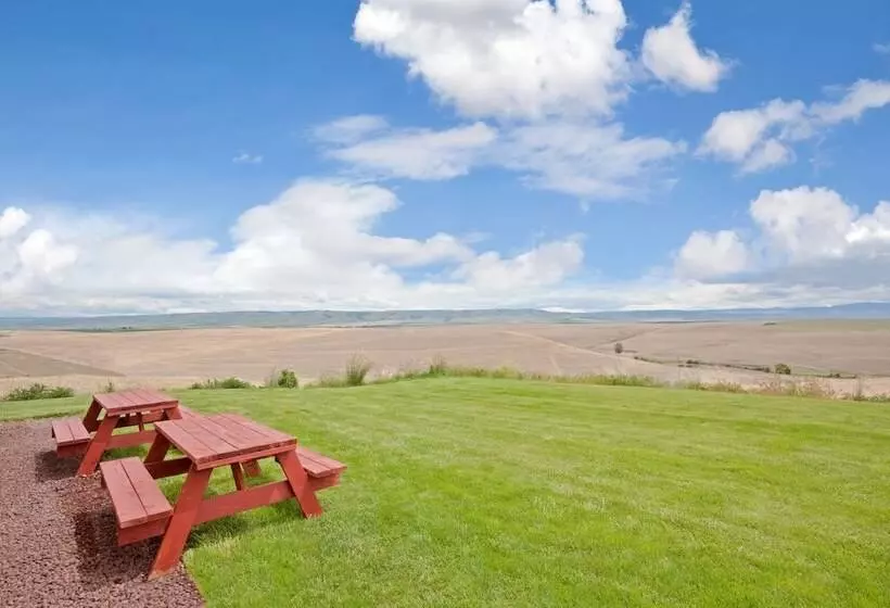 اتاق استاندارد, Holiday Inn Express Pendleton, An Ihg
