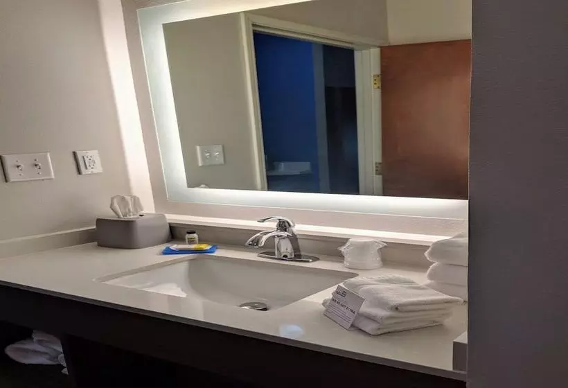 身障者適用スイートルーム, Holiday Inn Express Stephens City, An Ihg