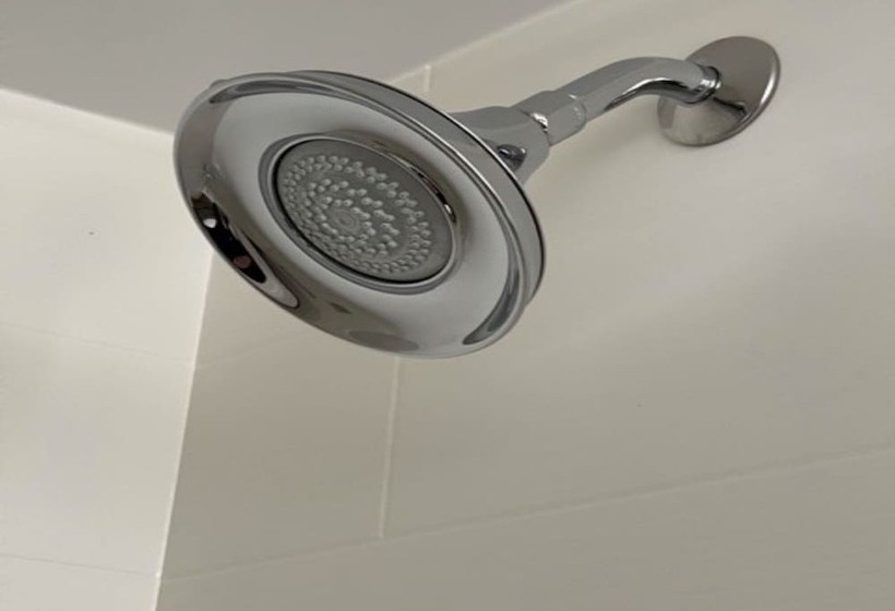 غرفة قياسية, Holiday Inn Express Tampa Brandon, An Ihg