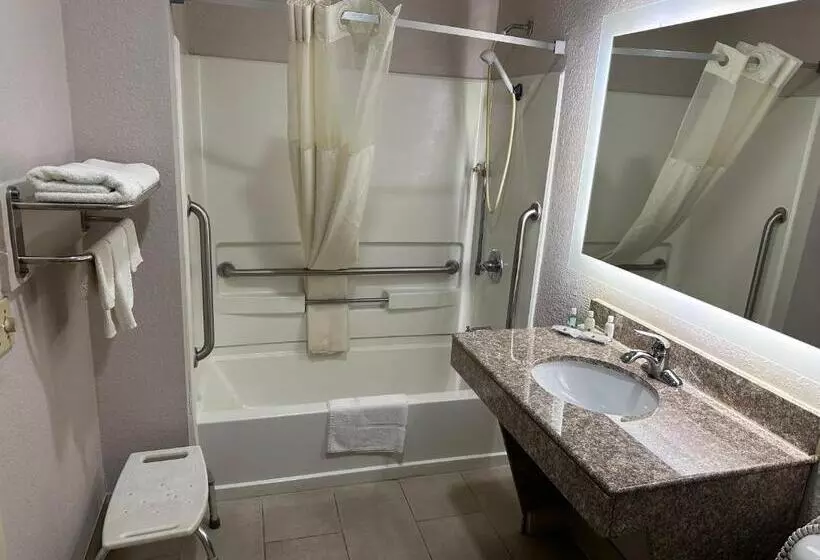 身障者適用キングサイズベッドルーム, Quality Inn