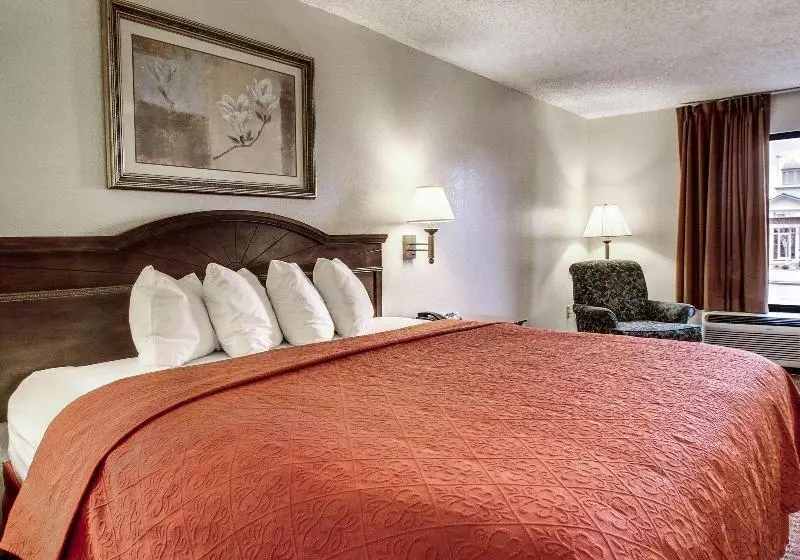キングサイズベッドのスタンダードルーム, Quality Inn & Suites