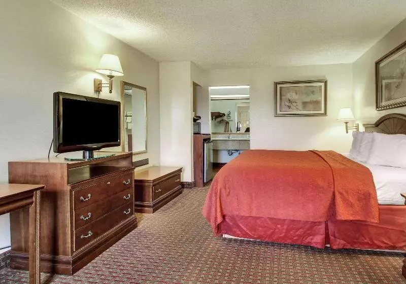 キングサイズベッドのスタンダードルーム, Quality Inn & Suites