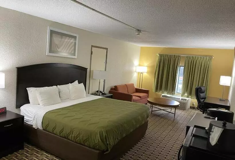 キングサイズベッドのスタンダードルーム, Quality Inn