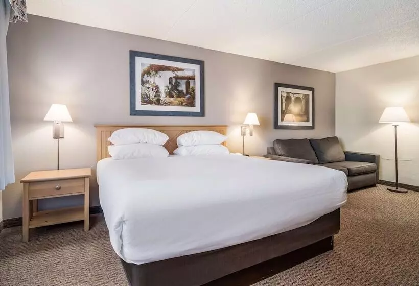 身障者適用スタンダードルーム, Red Lion Inn & Suites Goodyear