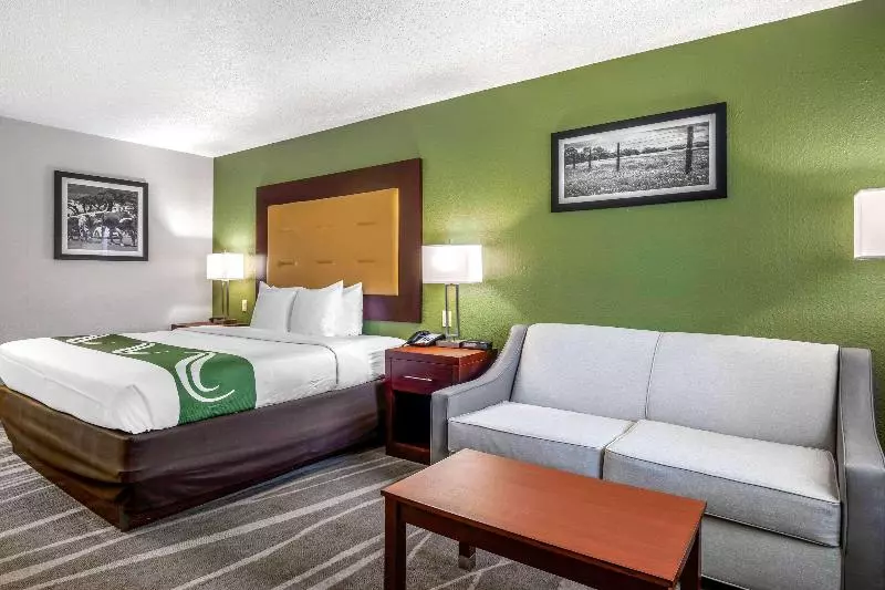 キングサイズベッドのスタンダードルーム, Quality Inn & Suites