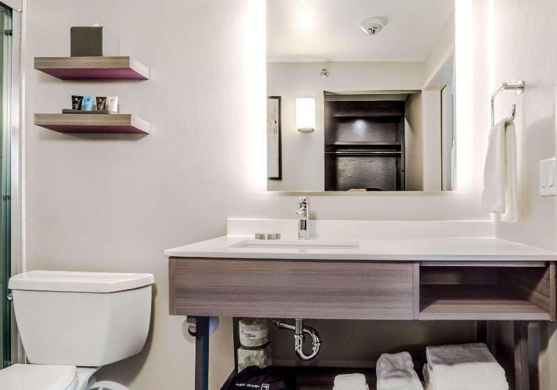 适合残疾人使用的标准间, Sonesta Denver Downtown