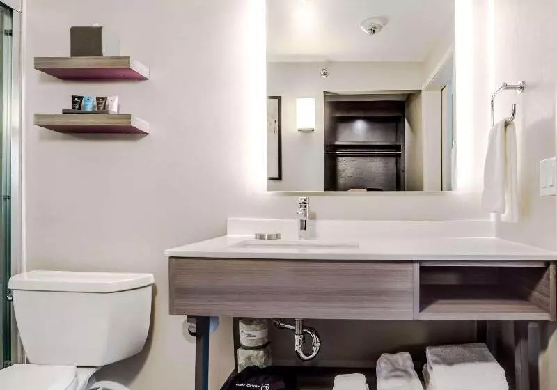 身障者適用スタンダードルーム, Sonesta Denver Downtown