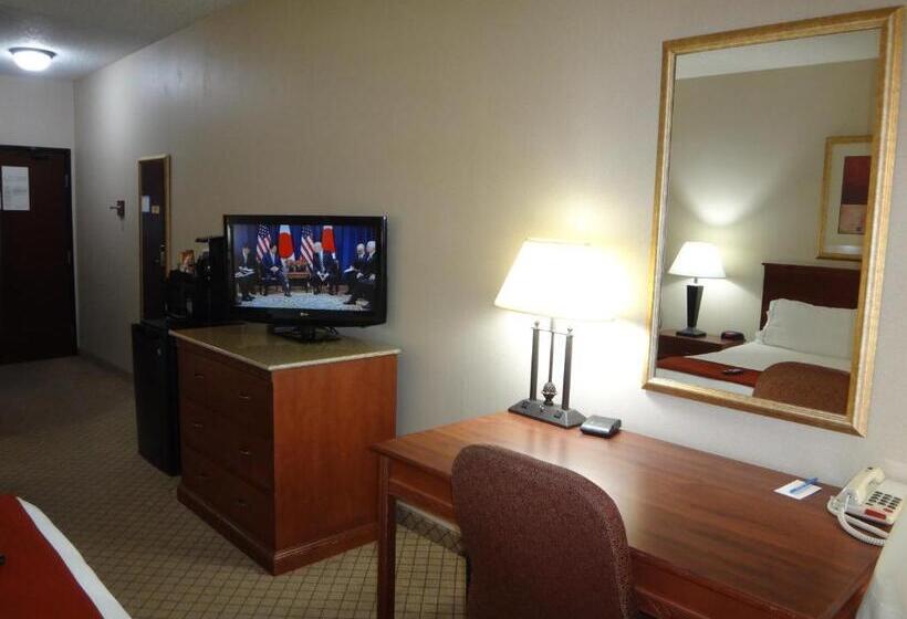 Стандартный Номер Кровать Кинг, Windsor Inn & Suites