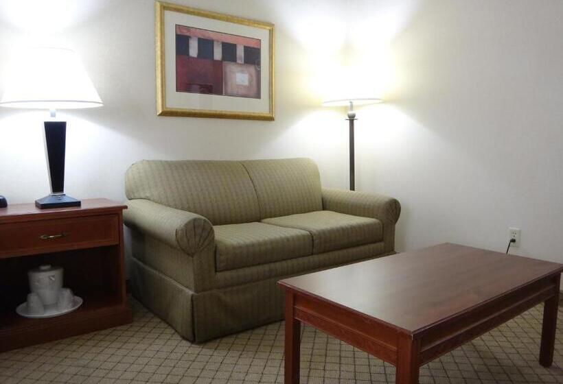 Стандартный Номер Кровать Кинг, Windsor Inn & Suites