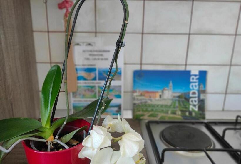 استودیوی استاندارد, The Nice Dreams Studio Apartment