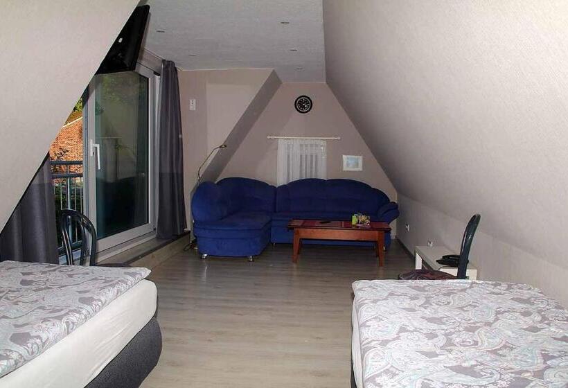 带1个卧室的公寓, Pension Marion