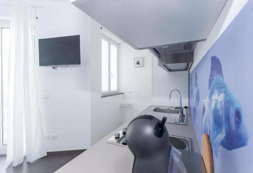 شقة غرفة واحدة, Minerva Residence