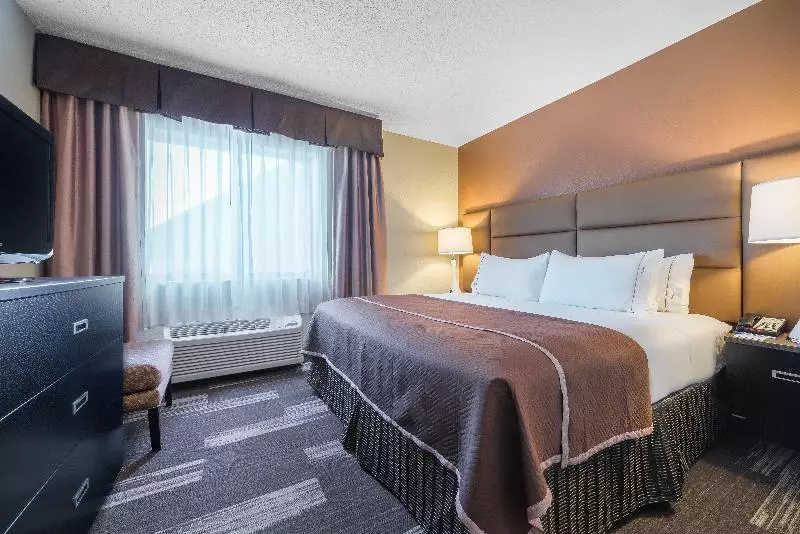 キングサイズベッドのスイートルーム, Holiday Inn Express Hotel & Suites St. Paul Woodbury, An Ihg