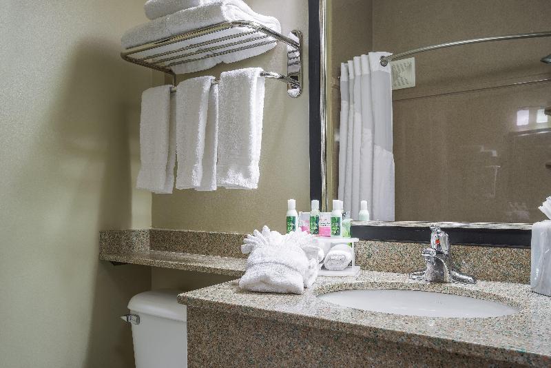Люкс Кровать Кинг, Holiday Inn Express Hotel & Suites St. Paul   Woodbury, An Ihg