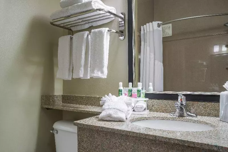キングサイズベッドのスイートルーム, Holiday Inn Express Hotel & Suites St. Paul Woodbury, An Ihg