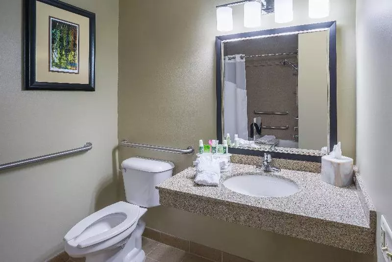 身障者適用スタンダードルーム, Holiday Inn Express Hotel & Suites St. Paul Woodbury, An Ihg