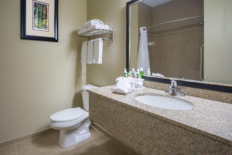 带大床的标准间, Holiday Inn Express Hotel & Suites St. Paul   Woodbury, An Ihg