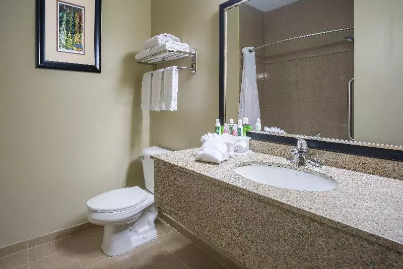 キングサイズベッドのスタンダードルーム, Holiday Inn Express Hotel & Suites St. Paul Woodbury, An Ihg