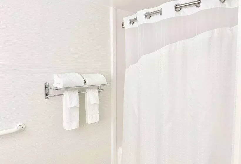 身障者適用スイートルーム, Best Western Springfield