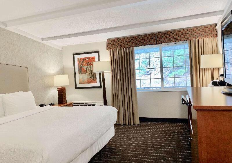 غرفة قياسية سرير كينج, Best Western Springfield