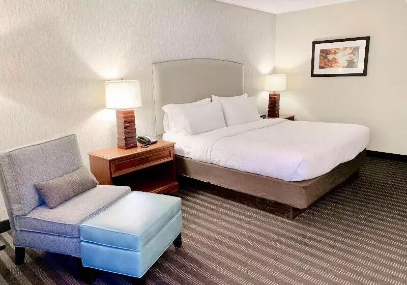 キングサイズベッドのスタンダードルーム, Best Western Springfield