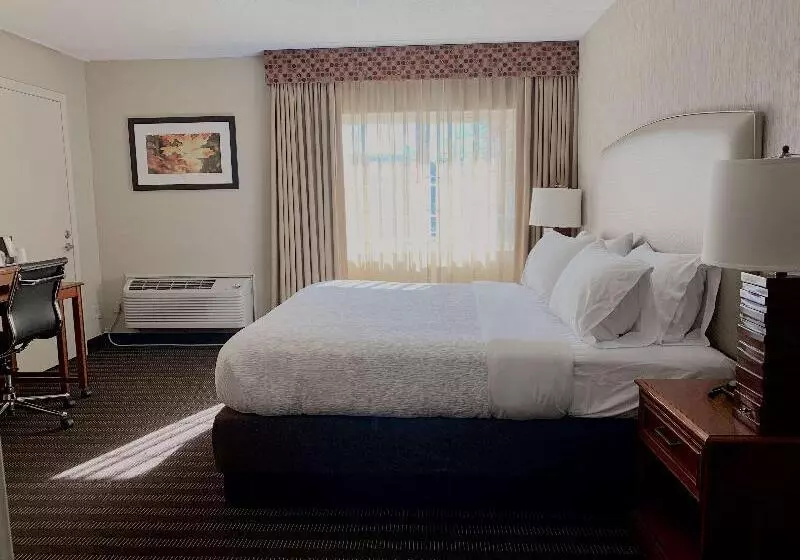身障者適用キングサイズベッドルーム, Best Western Springfield