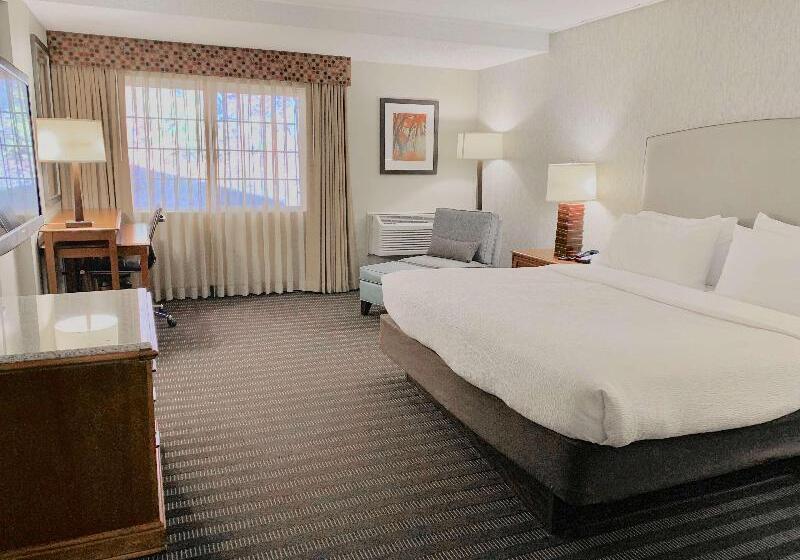 장애인을 위한 킹사이즈 침대 스탠다드 룸, Best Western Springfield