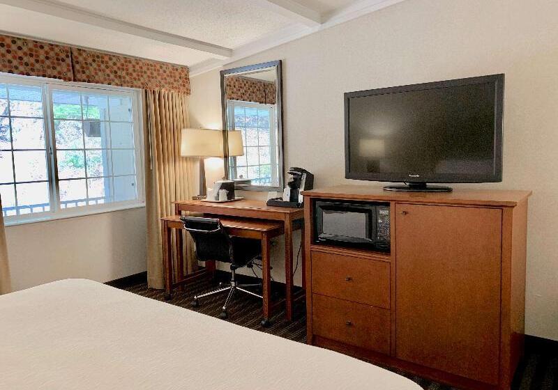 غرفة قياسية سرير كينج لذوى الإحتياجات الخاصة, Best Western Springfield
