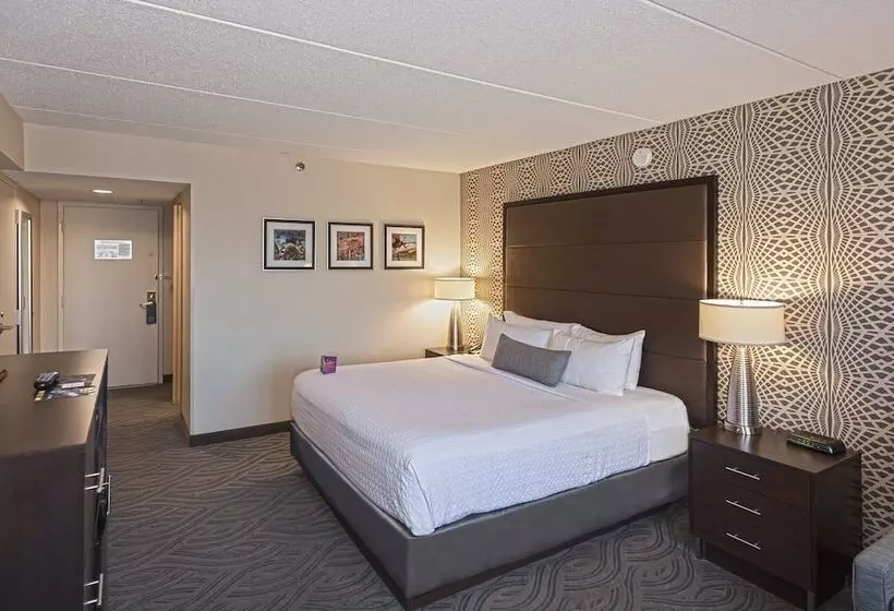 اتاق استاندارد, Crowne Plaza Suites Msp Airport Mall Of America, An Ihg