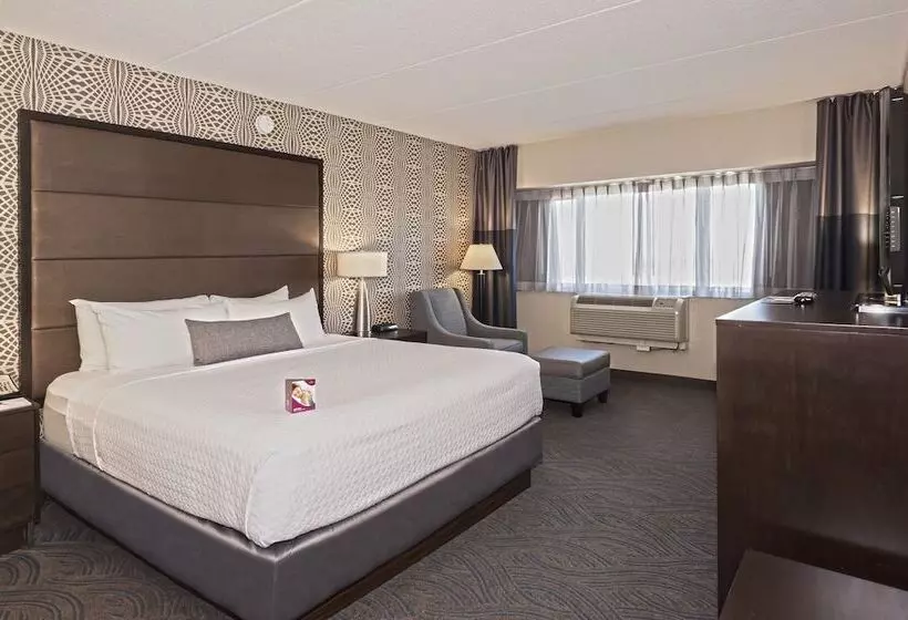 اتاق استاندارد برای معلولان, Crowne Plaza Suites Msp Airport Mall Of America, An Ihg
