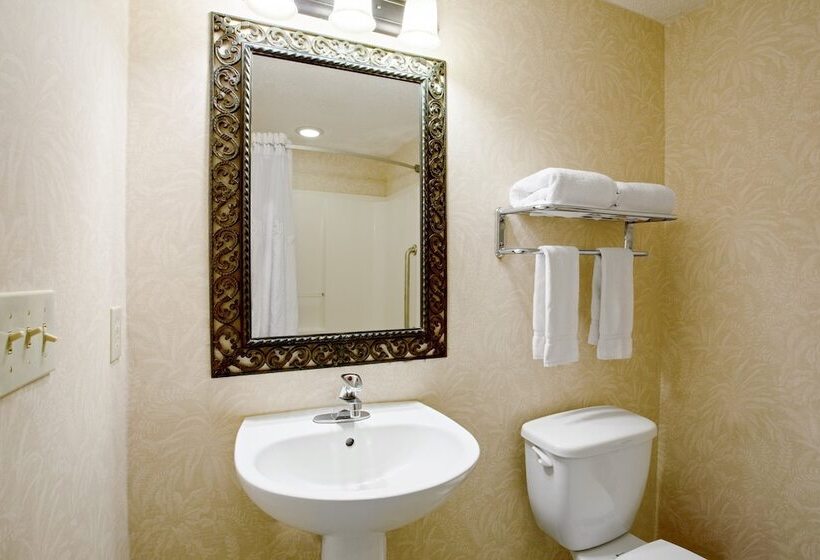 プレミアムルーム, Holiday Inn & Suites Clearwater Beach S Harbourside