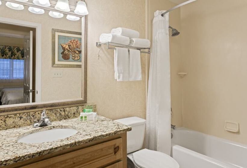 Номер Стандарт, Holiday Inn & Suites Clearwater Beach S Harbourside