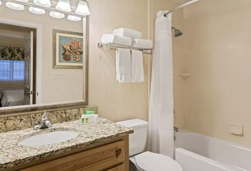 スタンダードルーム, Holiday Inn & Suites Clearwater Beach S Harbourside