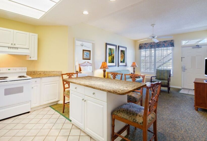 جناح ذو إطلالة, Holiday Inn & Suites Clearwater Beach S Harbourside