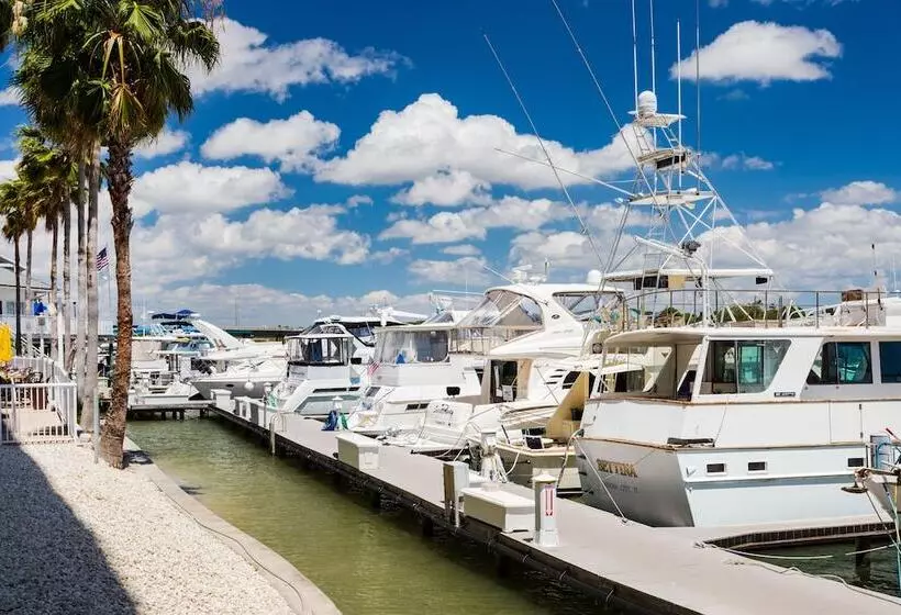 景色の見えるスイートルーム, Holiday Inn & Suites Clearwater Beach S Harbourside