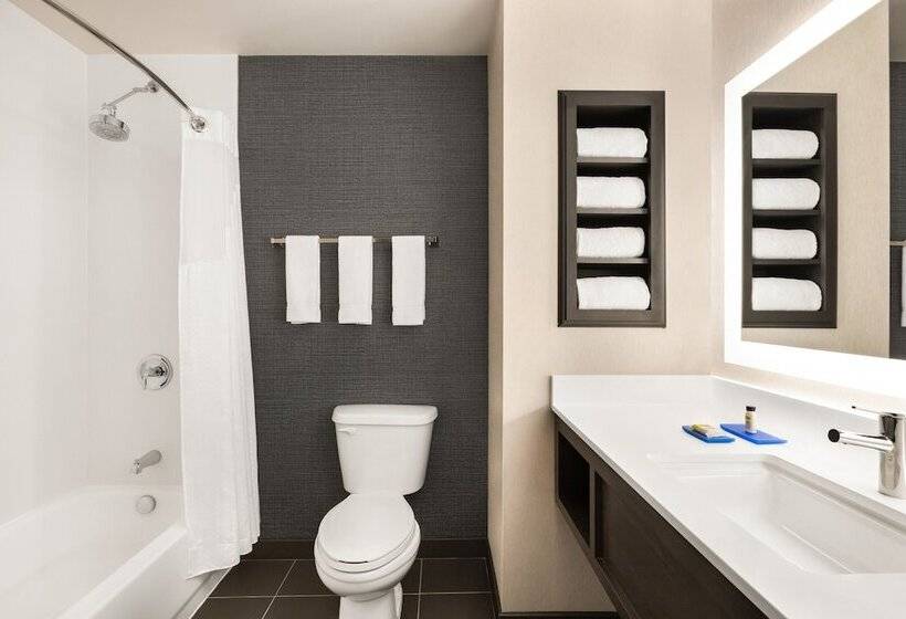 חדר סטנדרט, Holiday Inn Express & Suites Denver Airport, An Ihg