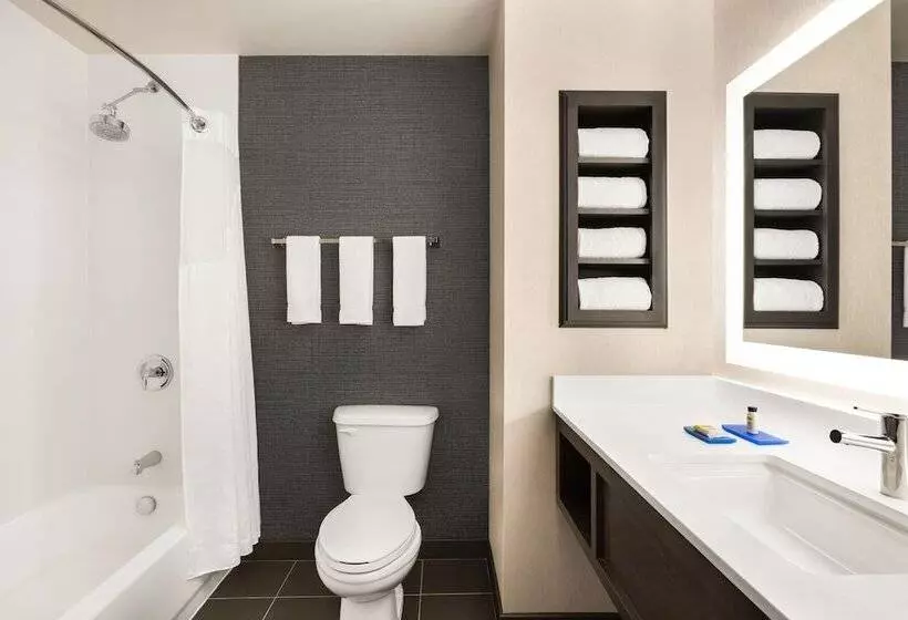 اتاق استاندارد, Holiday Inn Express & Suites Denver Airport, An Ihg
