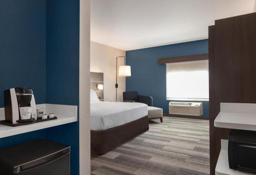 스탠다드 룸 킹사이즈 침대, Holiday Inn Express & Suites Denver Airport, An Ihg